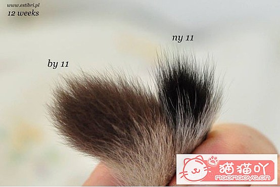 ���𽥲���ɫɫ�����ֽ𽥲�ϡ��ɫ����ƪ��ԭ����ͼ3