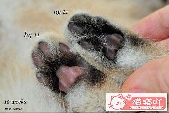 ���𽥲���ɫɫ�����ֽ𽥲�ϡ��ɫ����ƪ��ԭ����ͼ8