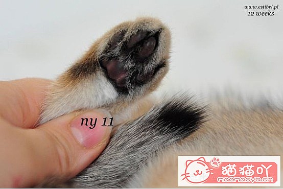 ���𽥲���ɫɫ�����ֽ𽥲�ϡ��ɫ����ƪ��ԭ����ͼ9