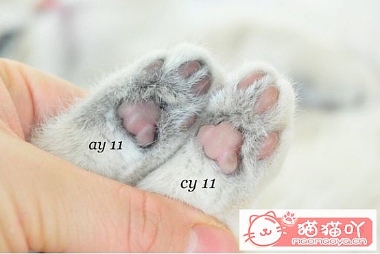 ���𽥲���ɫɫ�����ֽ𽥲�ϡ��ɫ����ƪ��ԭ����ͼ7