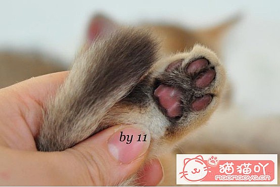 ���𽥲���ɫɫ�����ֽ𽥲�ϡ��ɫ����ƪ��ԭ����ͼ6