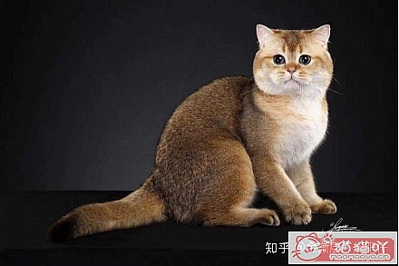 ���𽥲���ɫɫ�����ֽ𽥲�ϡ��ɫ����ƪ��ԭ����ͼ14