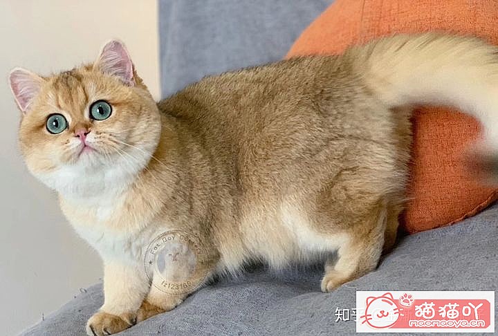 ���𽥲���ɫɫ�����ֽ𽥲�ϡ��ɫ����ƪ��ԭ����ͼ15