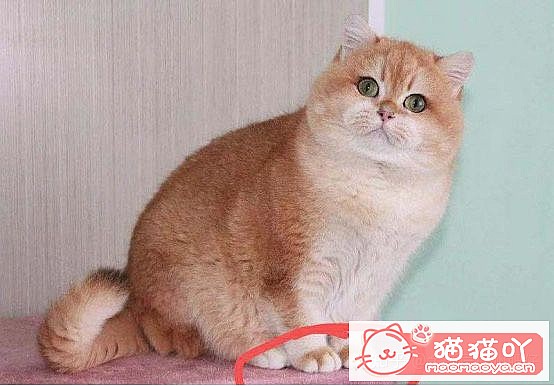 ���𽥲���ɫɫ�����ֽ𽥲�ϡ��ɫ����ƪ��ԭ����ͼ13