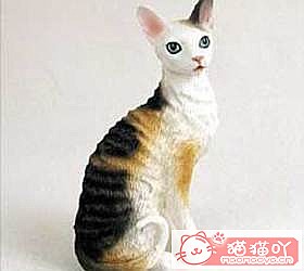 ��èèƷ�ִ�ȫͼƬ��Сͼ����ԭ����ͼ7