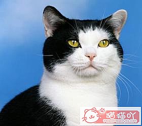 ��èèƷ�ִ�ȫͼƬ��Сͼ����ԭ����ͼ16