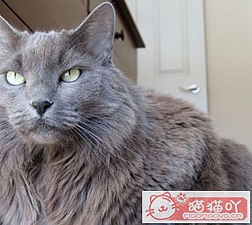 ��èèƷ�ִ�ȫͼƬ��Сͼ����ԭ����ͼ31