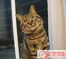 ��èèƷ�ִ�ȫͼƬ��Сͼ����ԭ����ͼ30