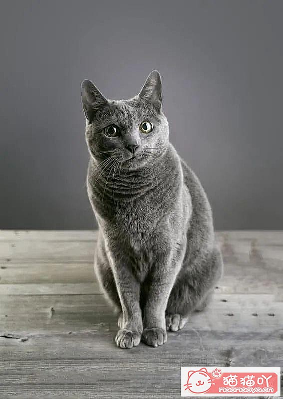 ����������󶥼��ݳ�èƷ�����а�top19��ԭ����ͼ12