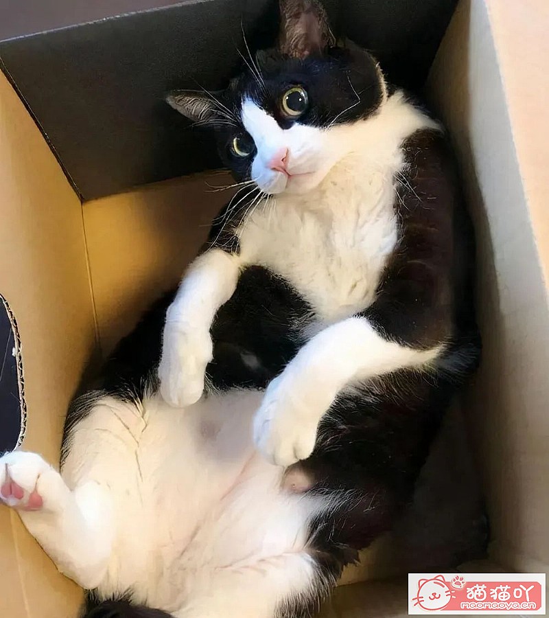 ��è�������������������è�䡷ԭ����ͼ4