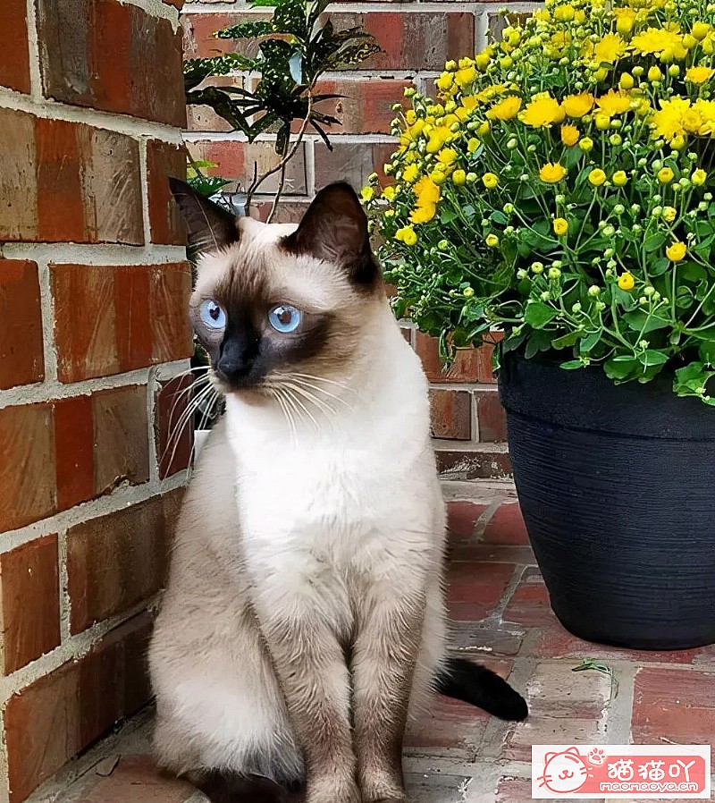 ��è�������������������è�䡷ԭ����ͼ7