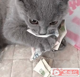 ��è�������������������è�䡷ԭ����ͼ6