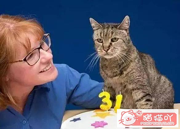 ���ʡǮ����5��è�䡷ԭ����ͼ1