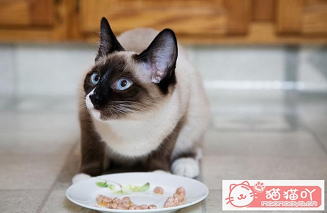 �����ּȱ����ֺ�����èè��ԭ����ͼ9